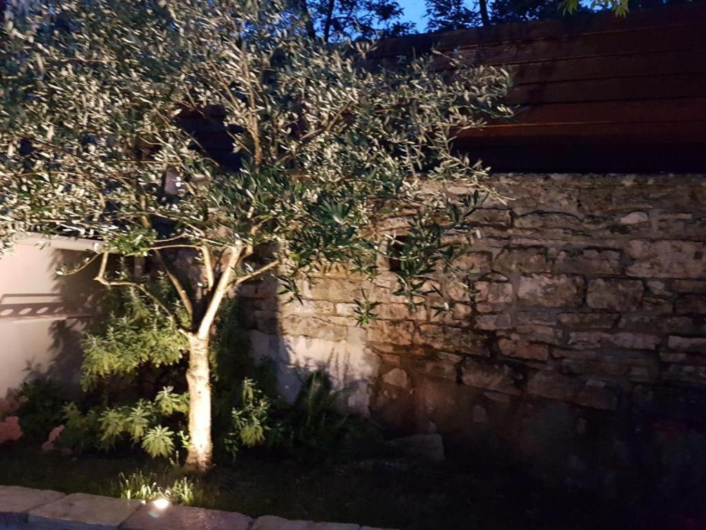 Villa Haus Delma Brajkovici  Esterno foto